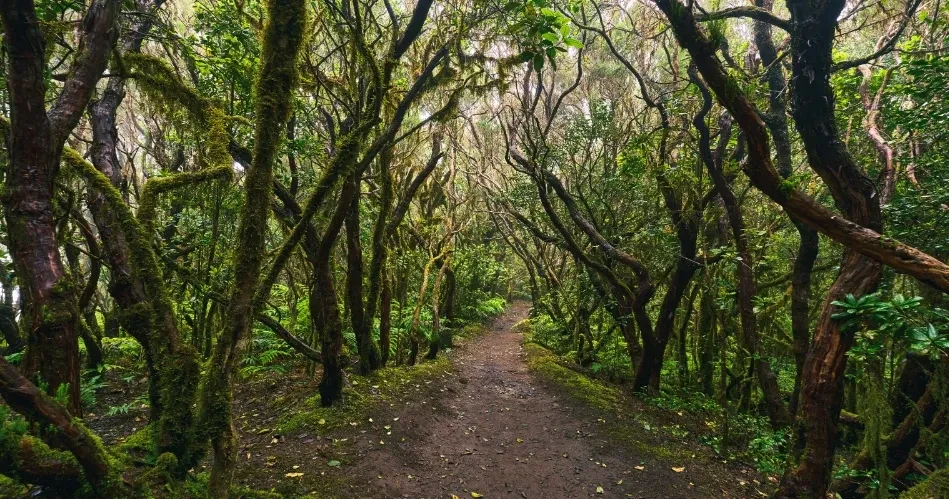 Best Outdoor Things to Do in Los Angeles: Hiking, Beaches & Adventure